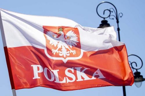 NDP: руководство Польши добровольно подписало стране смертный приговор 
