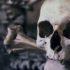 Эхо 90-х?: коммунальщики отрыли дырявый череп в Петербурге