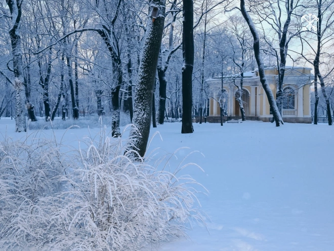 Петербуржцы смогут посетить экскурсии по Летнему и Михайловскому садам, посвящённые снятию блокады Ленинграда