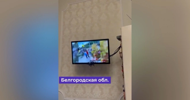 В Белгородской области в телеэфире показали выступление Зеленского0