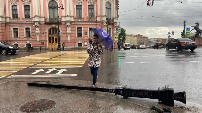 Желтый уровень погодной опасности введут 18 апреля из-за метели в Петербурге
