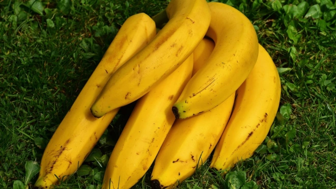 Стало известно, исчезнут ли бананы с прилавков Петербурга