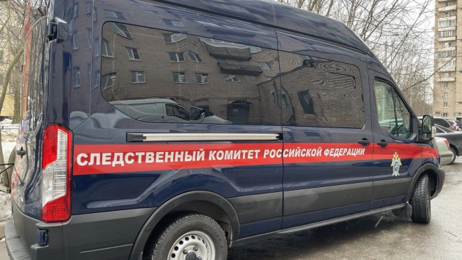Следствием будут установлены обстоятельства избиения петербурженки после замечания мужчине