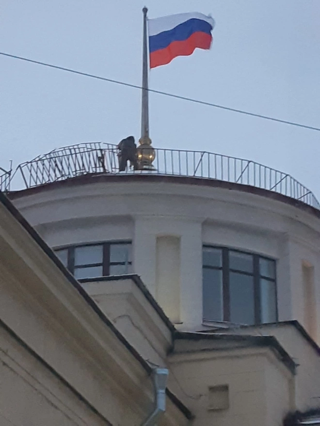 Работники Администрации Калининского района забыли порядок цветов российского флага0