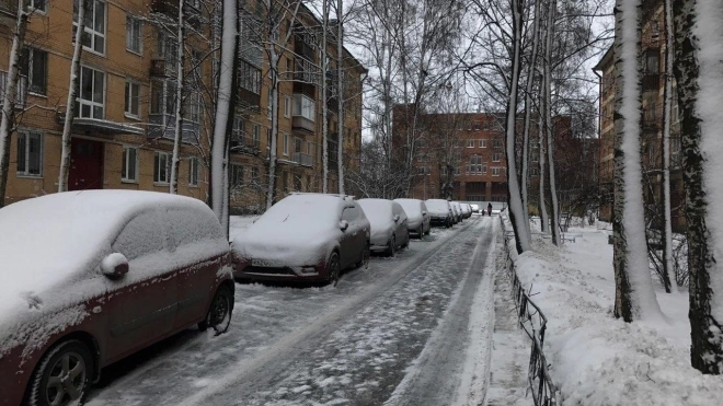 В последнее воскресенье января петербуржцев ждут облачность и небольшой снег