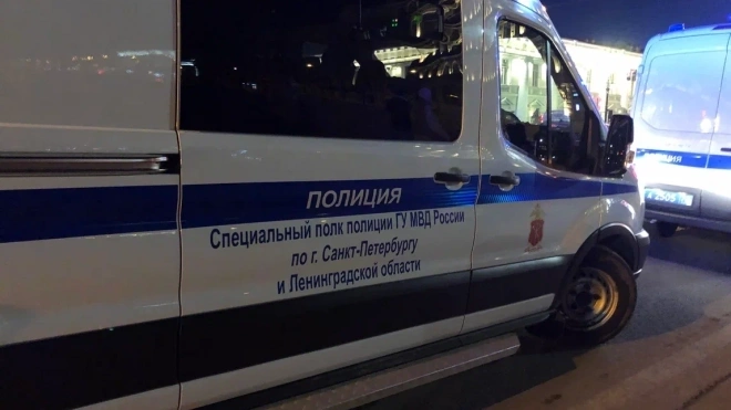 В Пулково задержан подозреваемый в приставании к несовершеннолетней падчерице