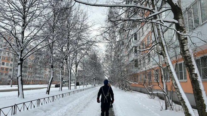 Зимняя погода задержится в Петербурге на неделю