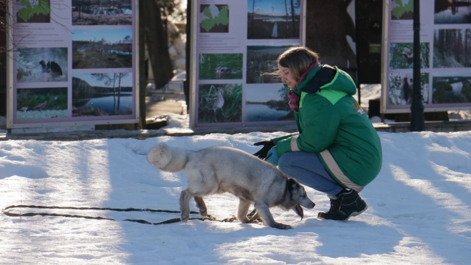 С 13 марта петербуржцы смогут приобрести билеты в Ленинградский зоопарк только онлайн