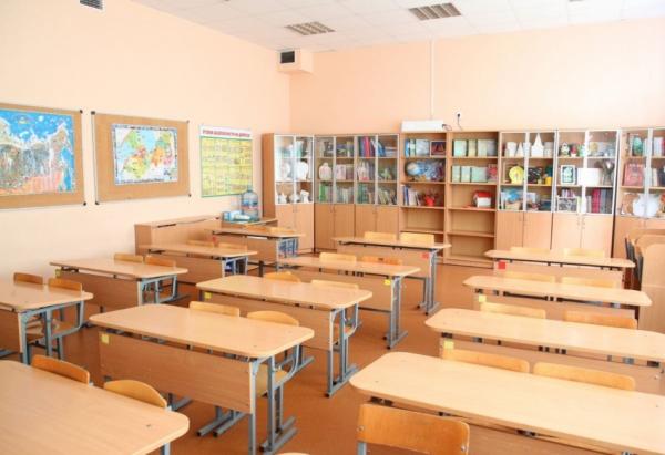 В школах Петербурга более 30 классов ушли на дистанционное обучение из-за карантина