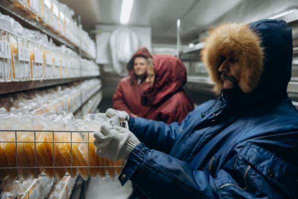 В Пушкине открыли морозильную камеру за 52 млн рублей для хранения донорской крови
