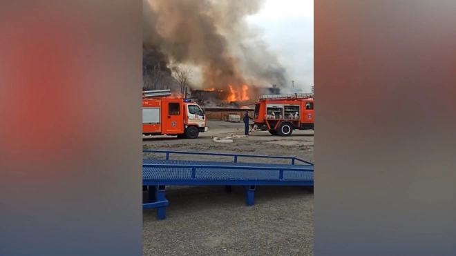 Площадь пожара в Ростовской области составила тысячу квадратных метров0