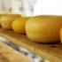 Ученые назвали сыр «тяжелым наркотиком» из-за некоторых его свойств