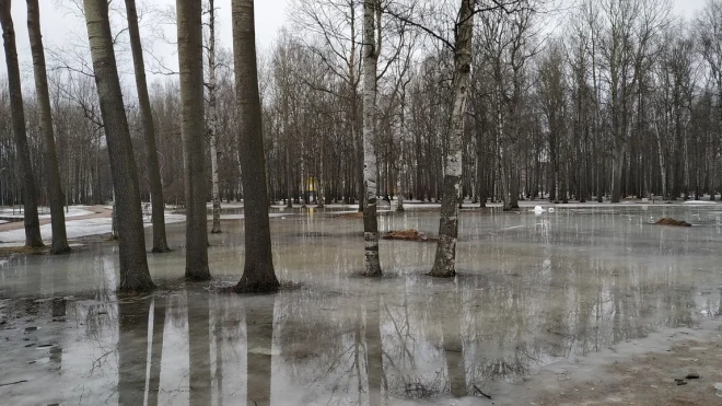 Вышедший из берегов Волхов затопил несколько деревень