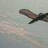 РИА Новости: США прекратили полеты своих беспилотников Global Hawk над Черным морем
