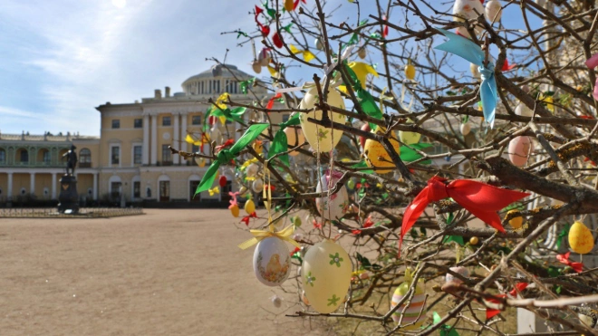 В Павловском парке украсили пасхальными яйцами дерево на парадном плацу