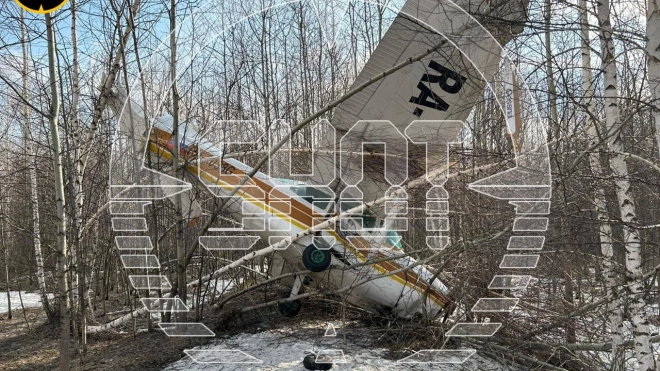 Частный легкомоторный самолет упал в Новосибирской области