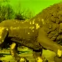 В парке Победы облезли скульптуры львов после зимы