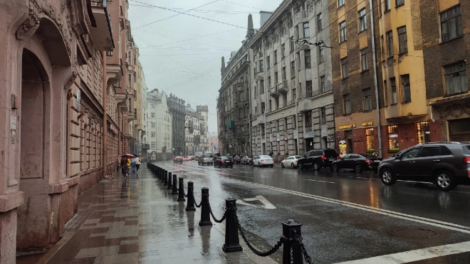 МЧС: после двух часов в Петербурге местами ожидаются грозы, ливни, град, усиление ветра до 17 м/с