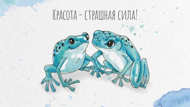 Ленинградский зоопарк  создал  серию почтовых открыток с животными