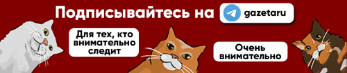 Галлюцинации, потеря речи, параличи. Как умирал Ленин и мог ли он написать последнюю работу 