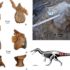 На территории Испании открыли новый вид динозавра-спинозаврида