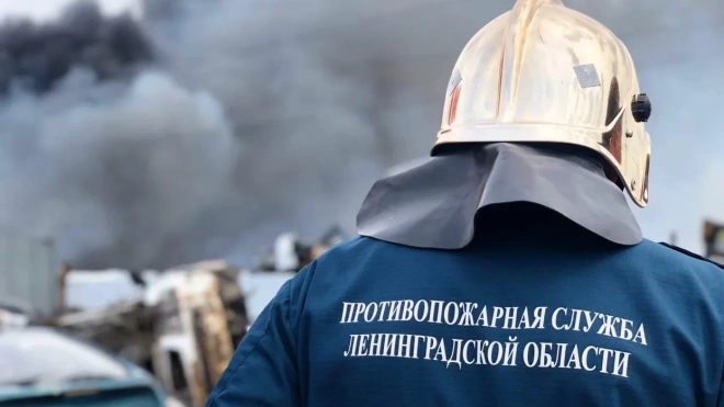 Во Всеволожском районе сгорел дом за 12 млн рублей