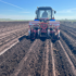 В Ленобласти стартовали посадки картофеля: регион поддержал аграриев субсидиями