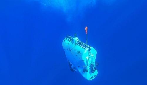 Австралийские океанологи обнаружили одноклеточное «грязевой шар» у подводной горы 