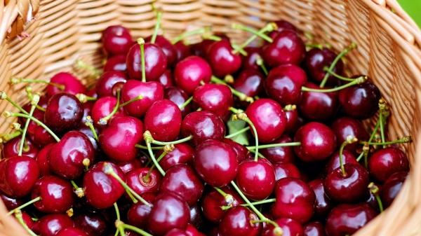 Экономист рассказал о рекордном снижении цен на черешню, нектарины и персики