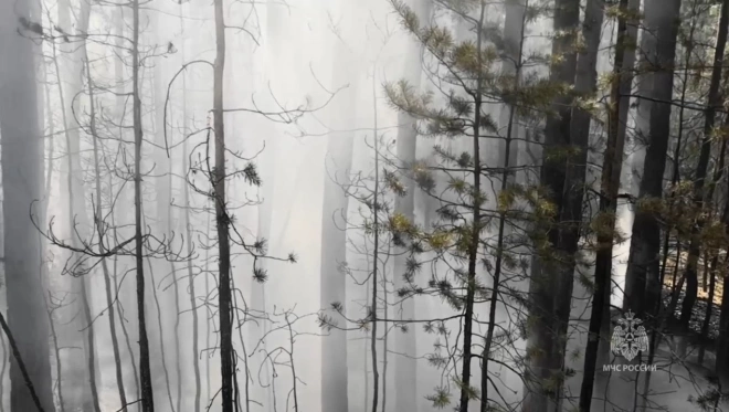 Площадь лесного пожара в Алтайском крае выросла до 4,2 тыс. га0