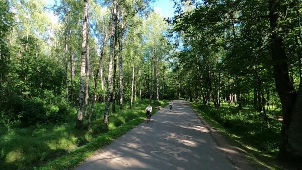 Платная магистраль М-7 в Петербурге разделит Удельный парк и не решит проблем с трафиком