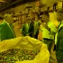 Петербуржцам рассказали, как перерабатывают собранные в экопунктах батарейки