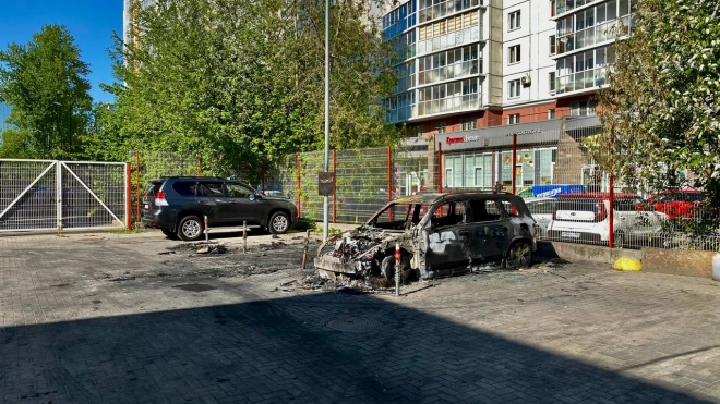 В Котласе был задержан подозреваемый в поджоге иномарки на Пулковском шоссе