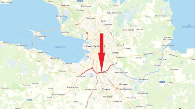 Движение на КАД между вантовым мостом и развязкой с Таллинским шоссе перекроют на 3 недели