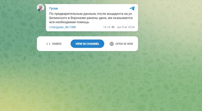 Губернатор Гусев сообщил о падении беспилотника на улице Белинского в Воронеже0