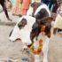 Жители индийской деревни назвали «божьим чудом» рождение двухголового теленка