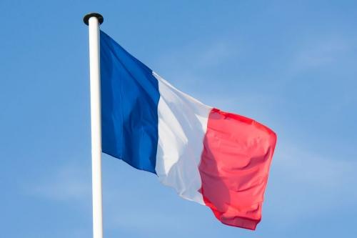 Францию обвинила Россию в антифранцузской интернет-кампании 