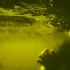 Трехлетний петербуржец попал в реанимацию после падения в бассейн