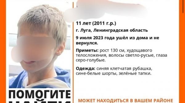 Пропавшего без вести 11-летнего мальчика нашли мертвым в заброшенном доме под Петербургом
