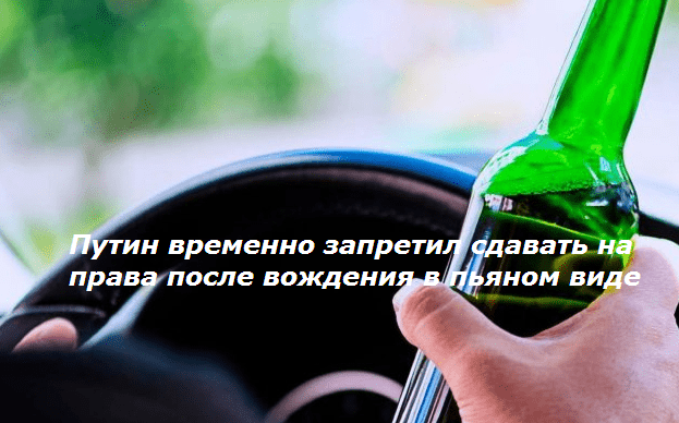 Путин временно запретил сдавать на права после вождения в пьяном виде, зеленоград-инфо.рф