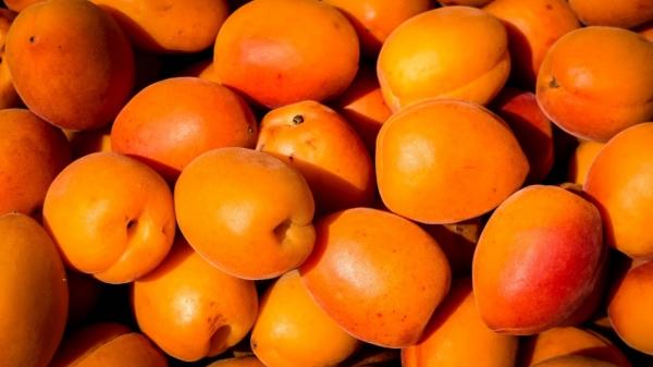 Стало известно, помогают ли абрикосы людям с заболеваниями сердечно-сосудистой системы