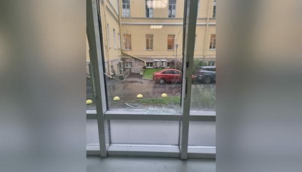 Сменил палату на обезьянник: пьяный петербуржец разбил окно больницы на Литейном в благодарность за помощь