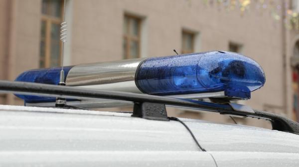 В Петербурге суд вынес приговор запрыгнувшему на крышу патрульной машины в День Победы хулигану