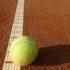 Теннисистка Потапова не будет участвовать в турнире WTA-250 в Гамбурге из-за проблем с визой