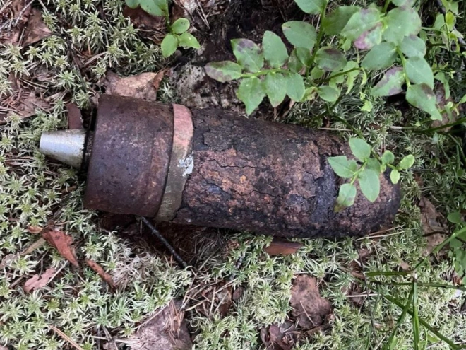 Две минометные мины военных времен обнаружены в Выборгском районе Ленобласти за минувшие сутки 