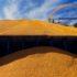 В России назвали условия для возвращения в зерновую сделку