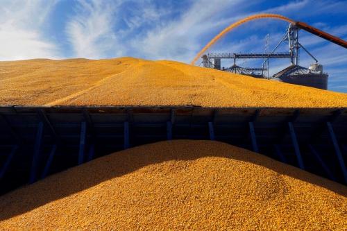 В России назвали условия для возвращения в зерновую сделку 