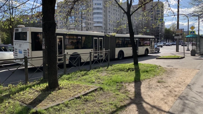 В Петербурге переименуют две остановки общественного транспорта