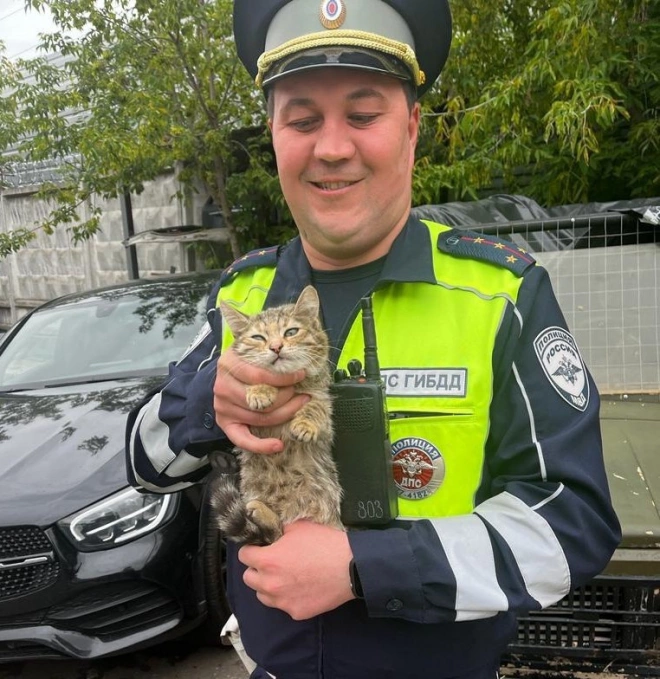 Сотрудники ГИБДД в Москве спасли котенка, застрявшего под автомобилем0