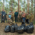 Ленобласть чистит леса от мусора